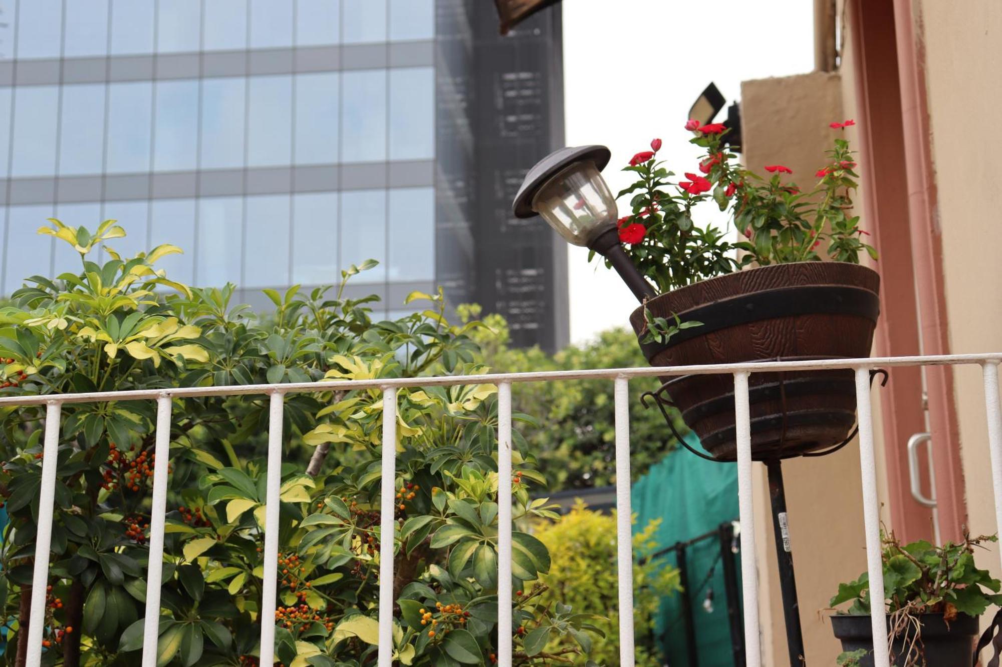 The 222 Apartamento Cidade do México Exterior foto